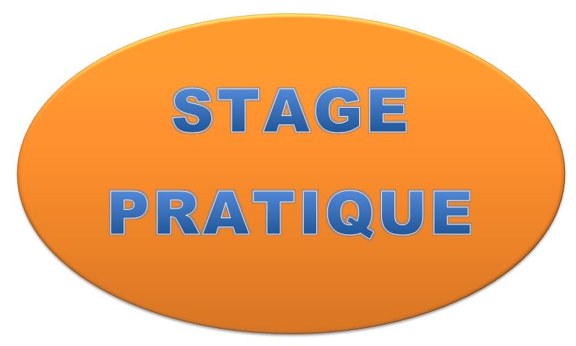 Course Image STAGE PRATIQUE -S5
